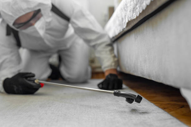 Professional Bed Bug Control technician working in Myers Corner, NY